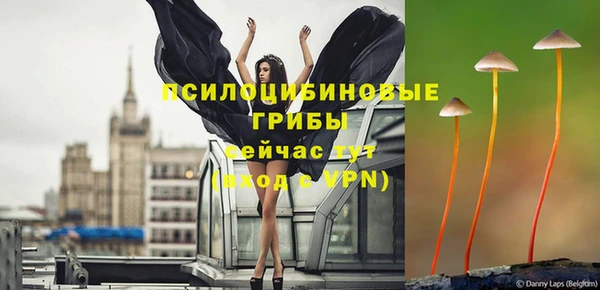ECSTASY Абаза