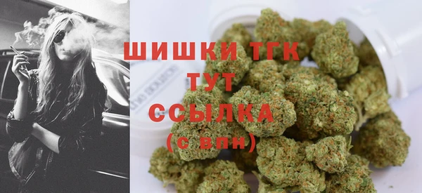 ECSTASY Абаза