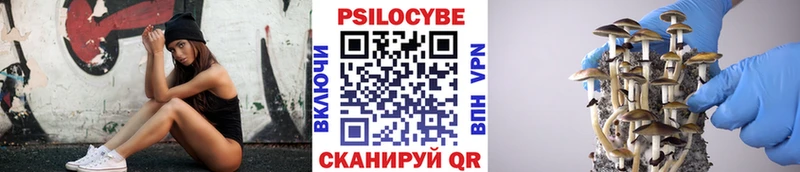 Галлюциногенные грибы Cubensis  Арсеньев 