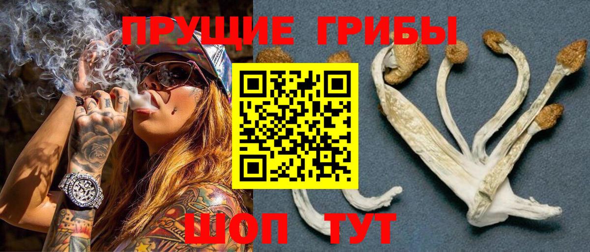 Галлюциногенные грибы ЛСД Арсеньев