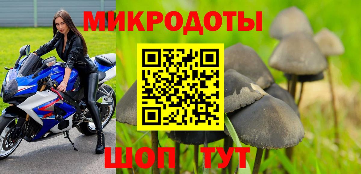 Галлюциногенные грибы GOLDEN TEACHER  Вход с VPN  Арсеньев 
