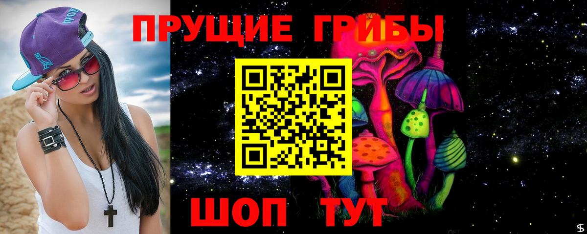 Конопля Арсеньев